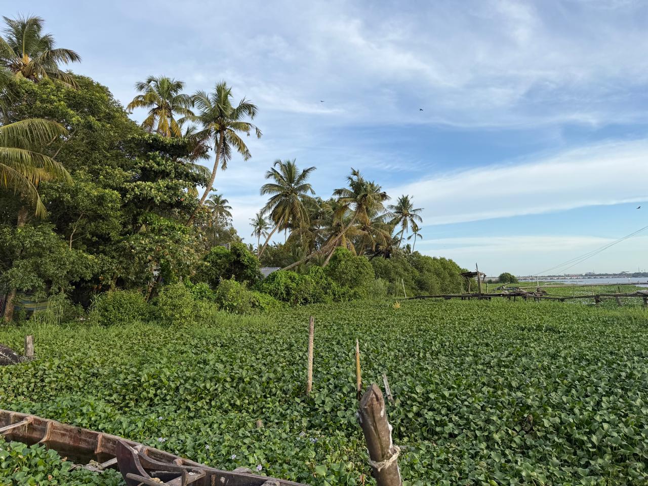 12 cents of Waterfront Land - for sale in Panagad, Kochi ( Ernakulam ), Kerala