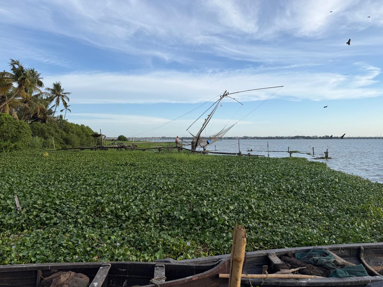 12 cents of Waterfront Land