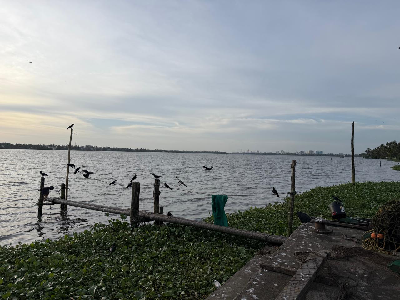 12 cents of Waterfront Land