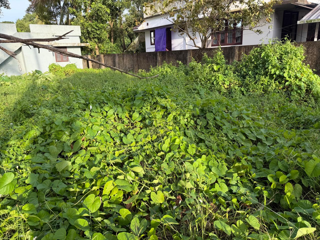 12 cents of Waterfront Land