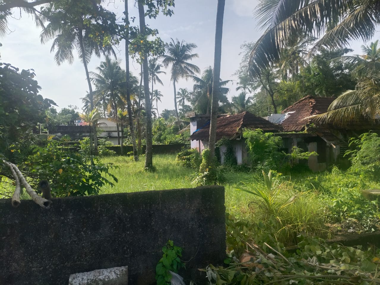 12 cents of Waterfront Land with 1000sqft old House - for sale in Kumbalam, Kochi ( Ernakulam ), Kerala
