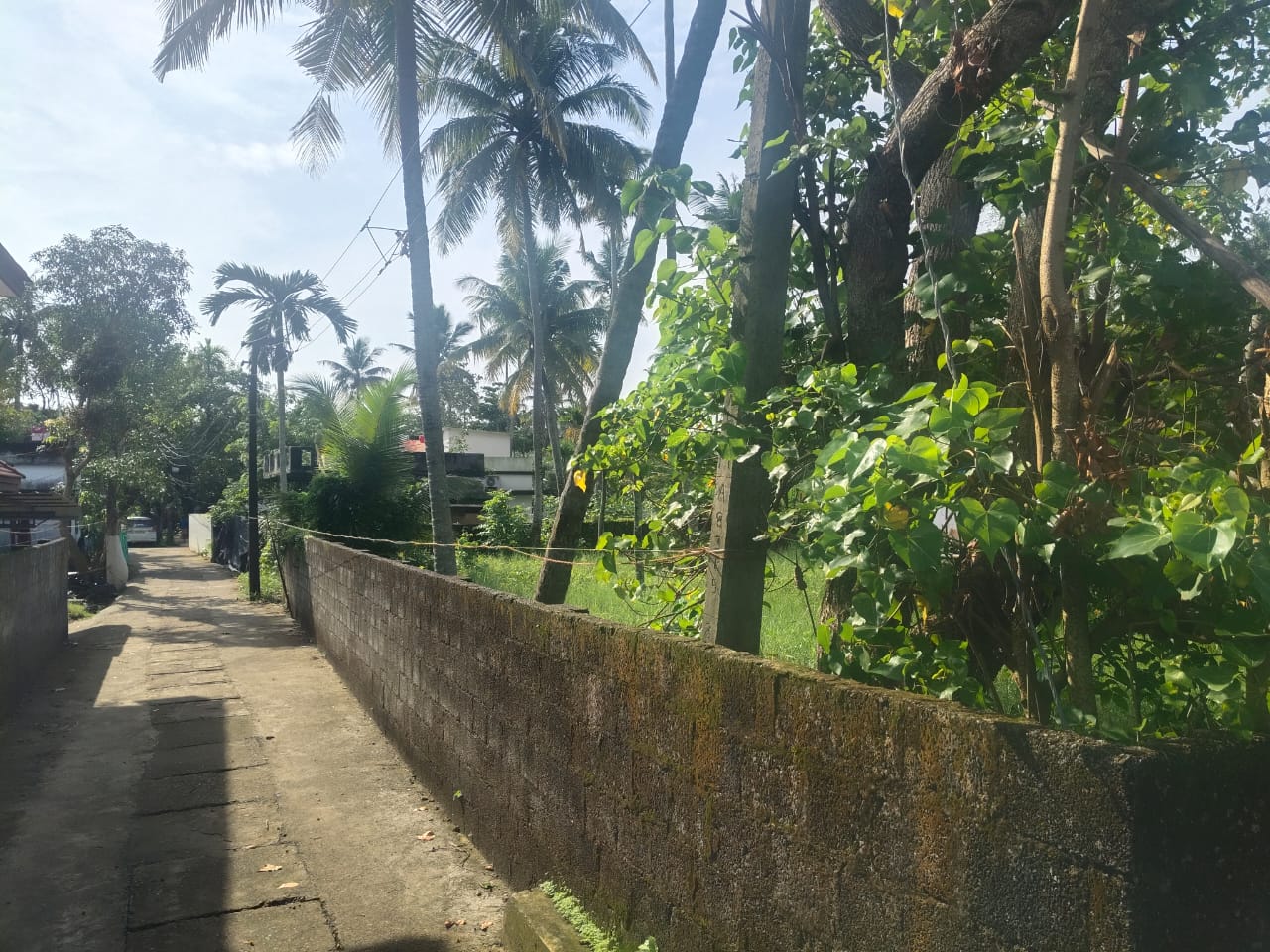 12 cents of Waterfront Land with 1000sqft old House