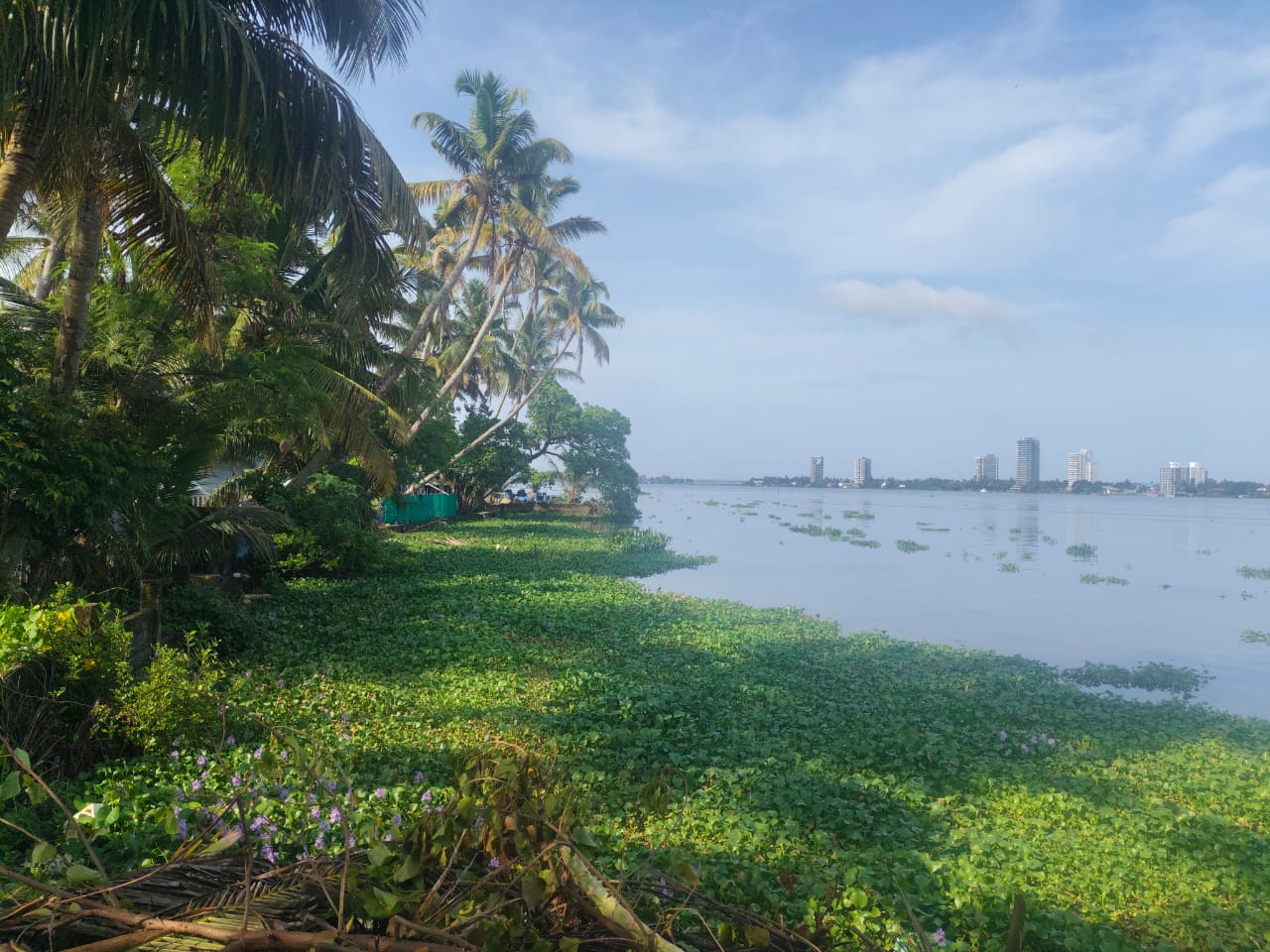 12 cents of Waterfront Land with 1000sqft old House