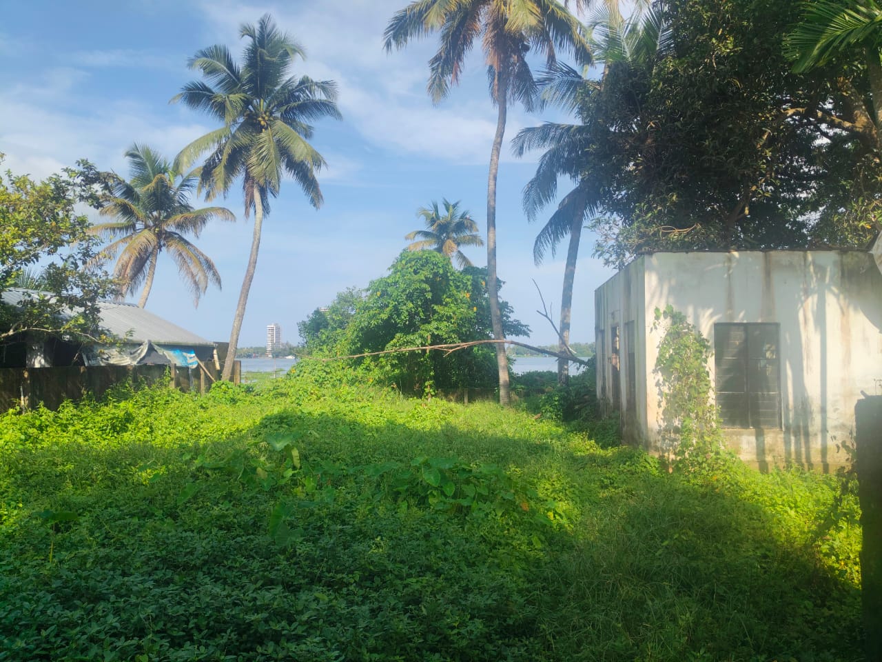 12 cents of Waterfront Land with 1000sqft old House