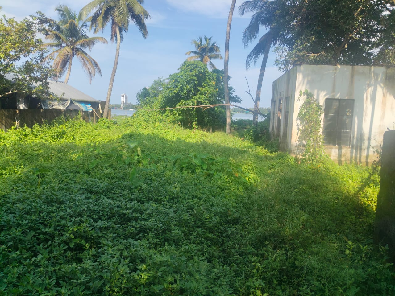 12 cents of Waterfront Land with 1000sqft old House
