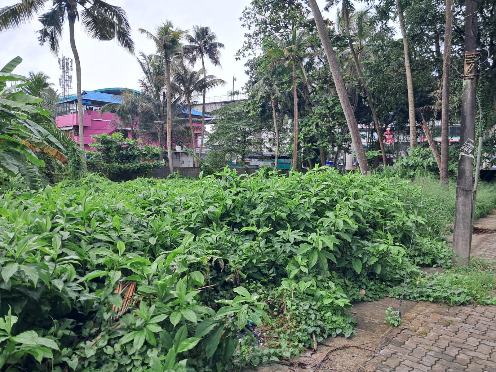 12Cents of Prime Commercial Plot - for sale in vyttila, Kochi, Kerala