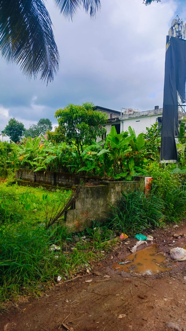 13 Cents of Land - for sale in nedumbassery, Kochi, Kerala