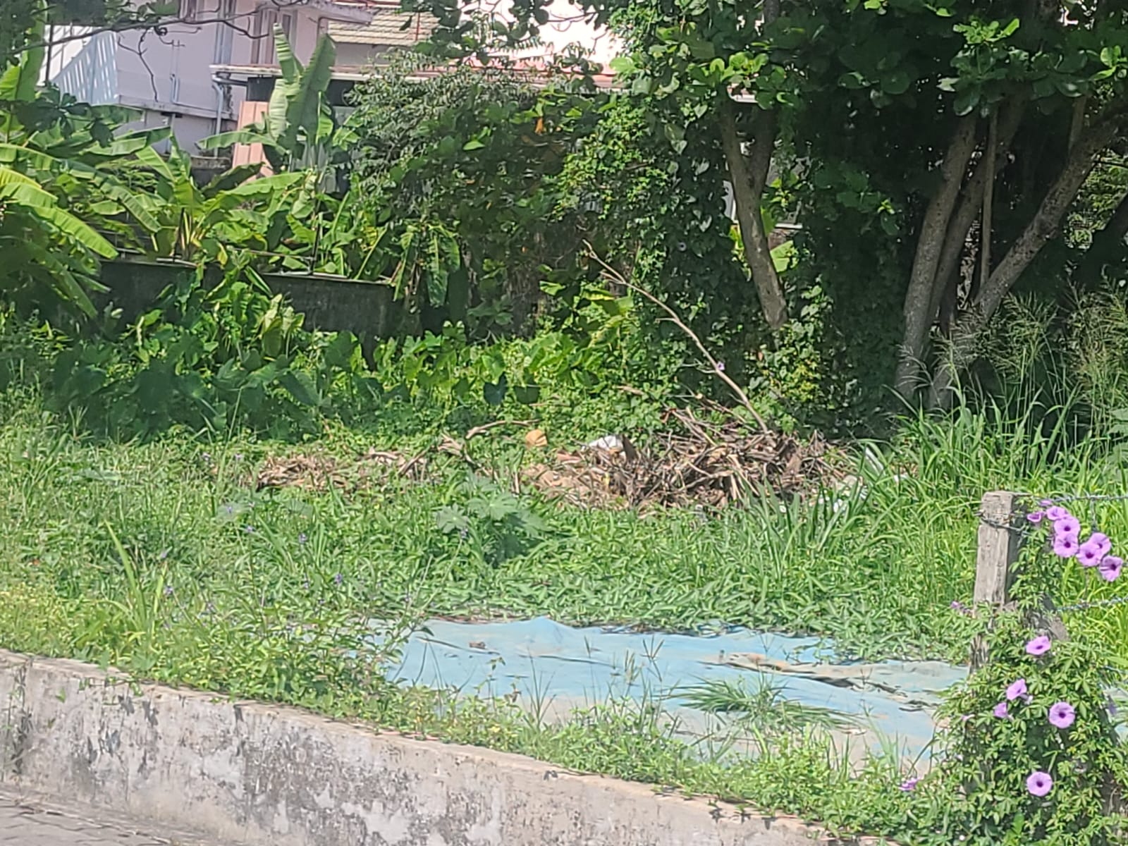 14.5 cents of Land - for sale in Vennala, Kochi ( Ernakulam ), Kerala