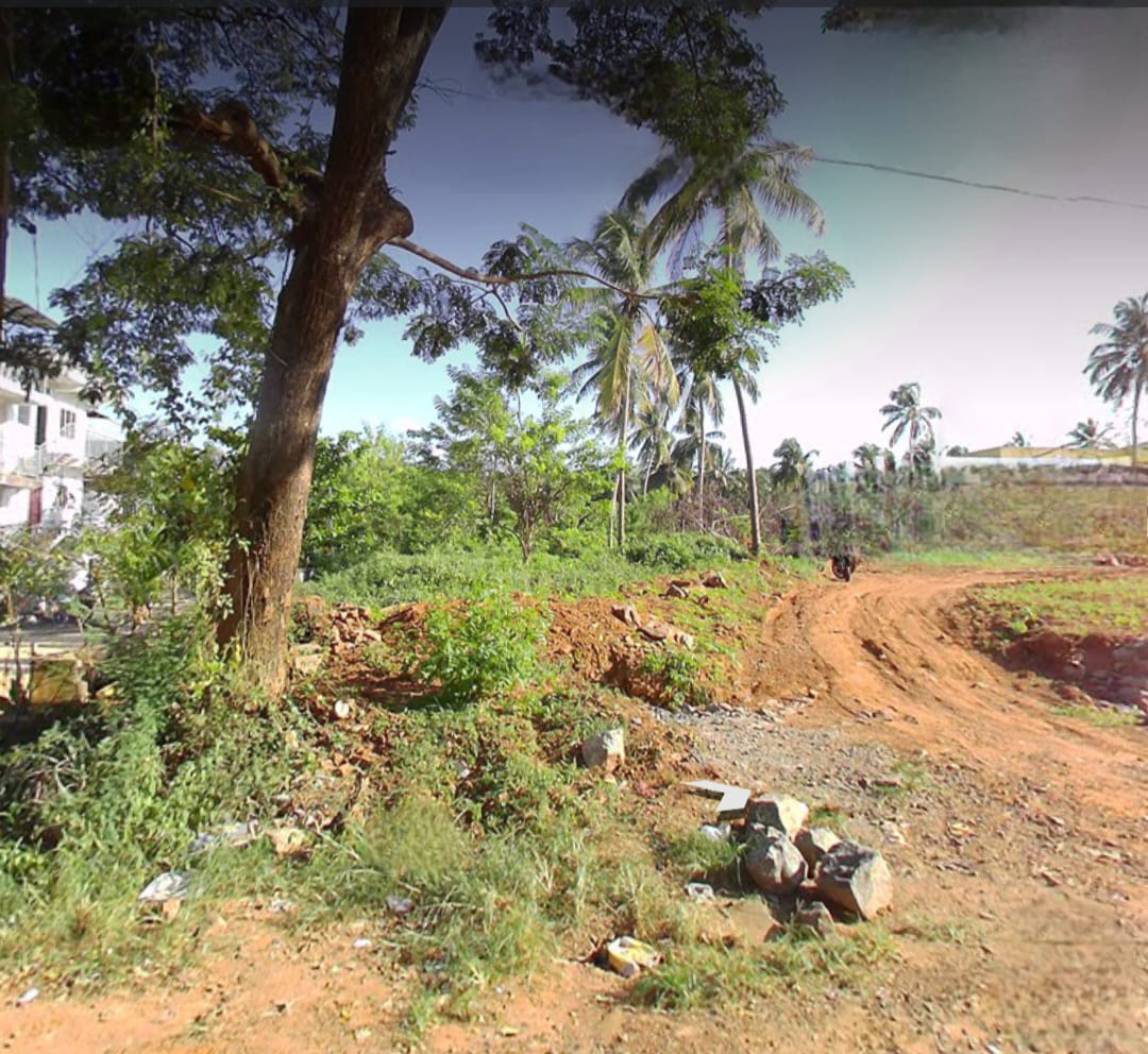 15 cents House plot - for sale in Palakkad, Palakkad, Kerala
