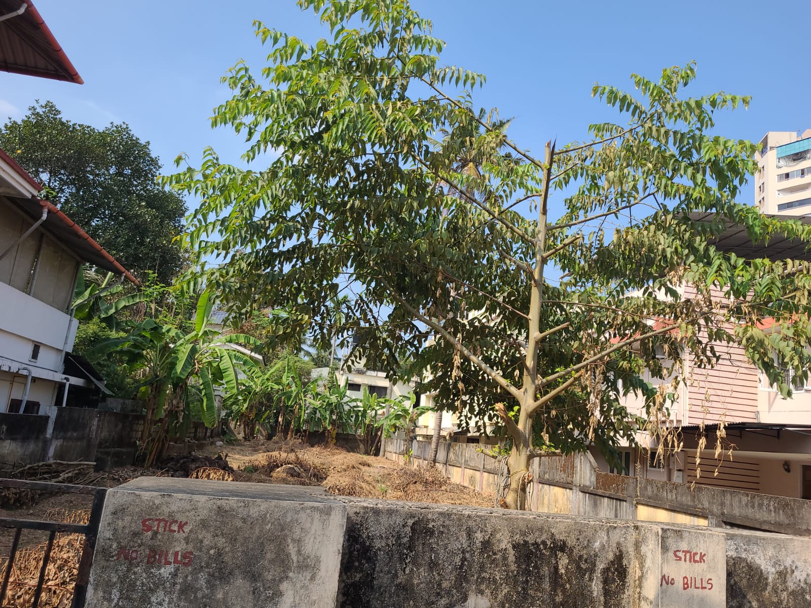 15 cents of Land - for sale in Palarivattom, Kochi ( Ernakulam ), Kerala