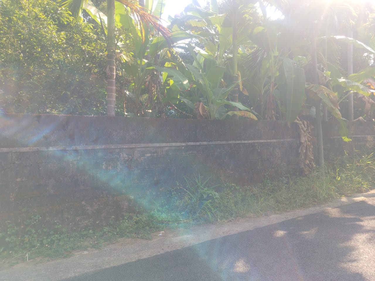 15 cents of Land - for sale in Kalady, Kochi ( Ernakulam ), Kerala