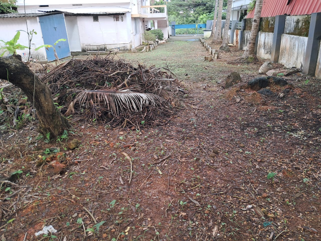 15 Cents of Land - for sale in Kadavanthra, Kochi ( Ernakulam ), Kerala