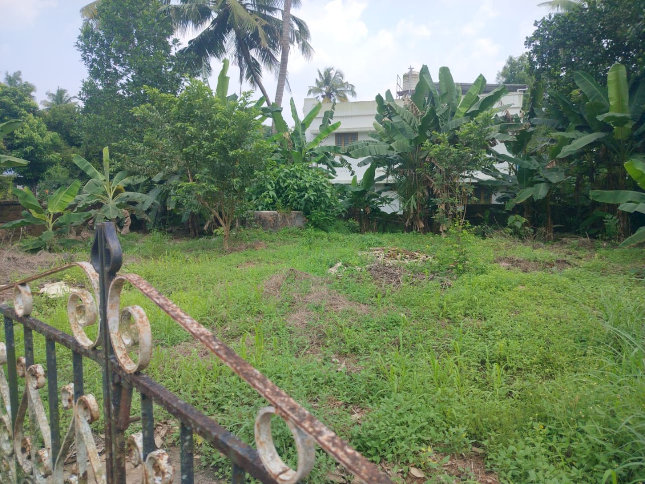 15 cents of Land - for sale in Angamally, Kochi ( Ernakulam ), Kerala