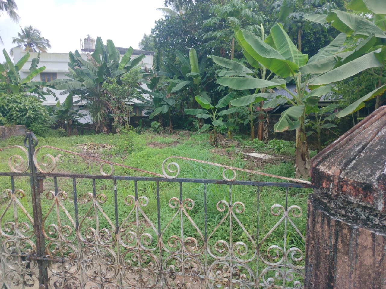 15 cents of Land