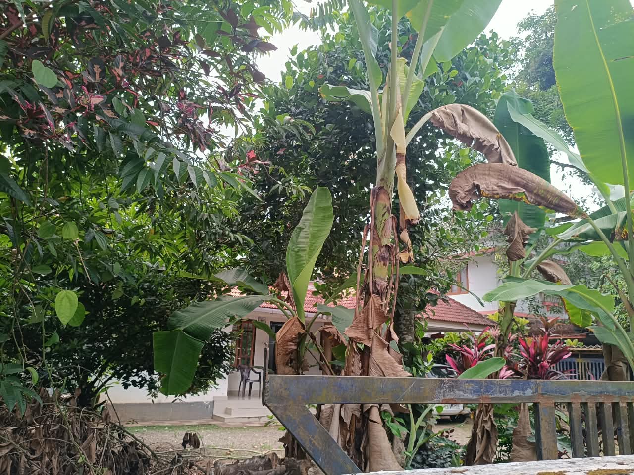 1500sqft 3BHK House