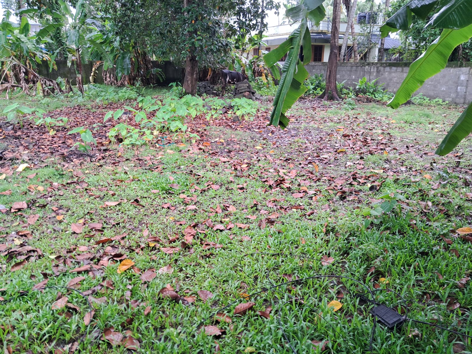 15Cents of Residential Plot in Maradu
