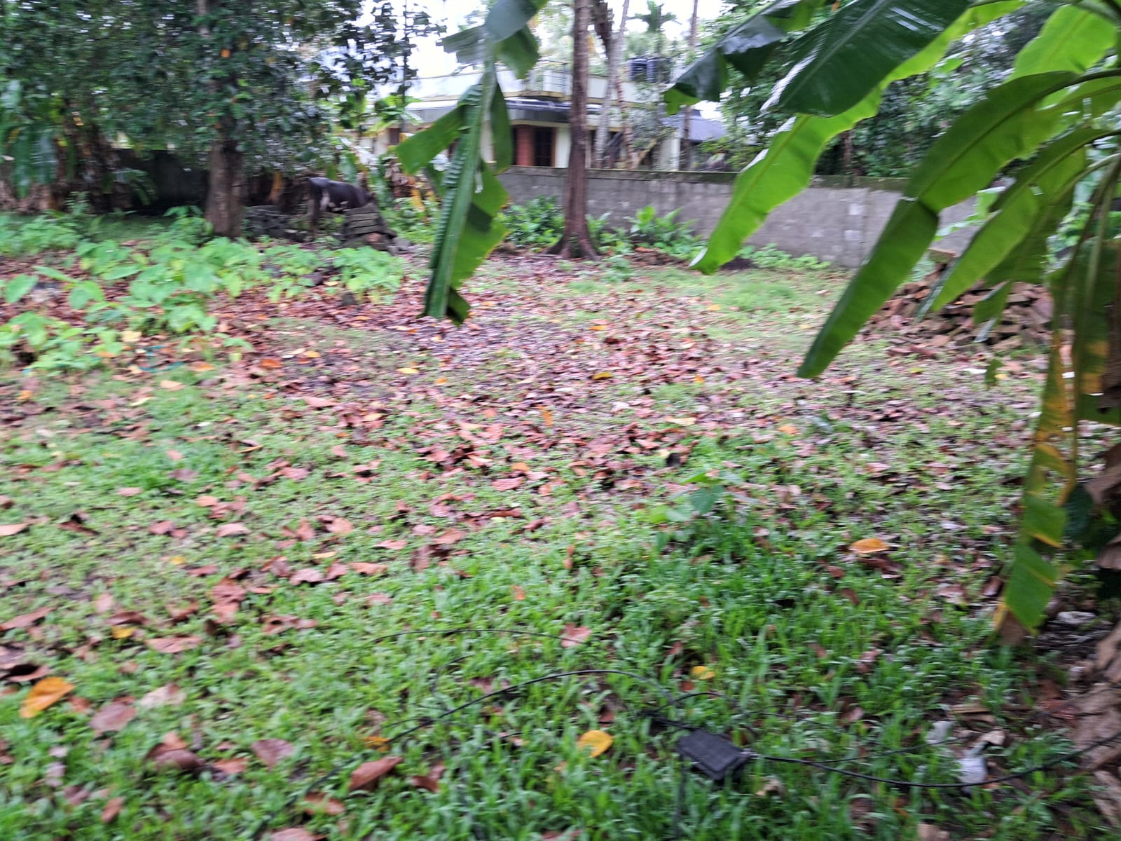 15Cents of Residential Plot in Maradu