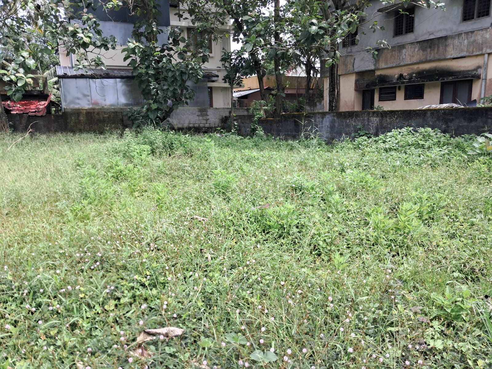 16.5 Cents of Land in Gated Villa