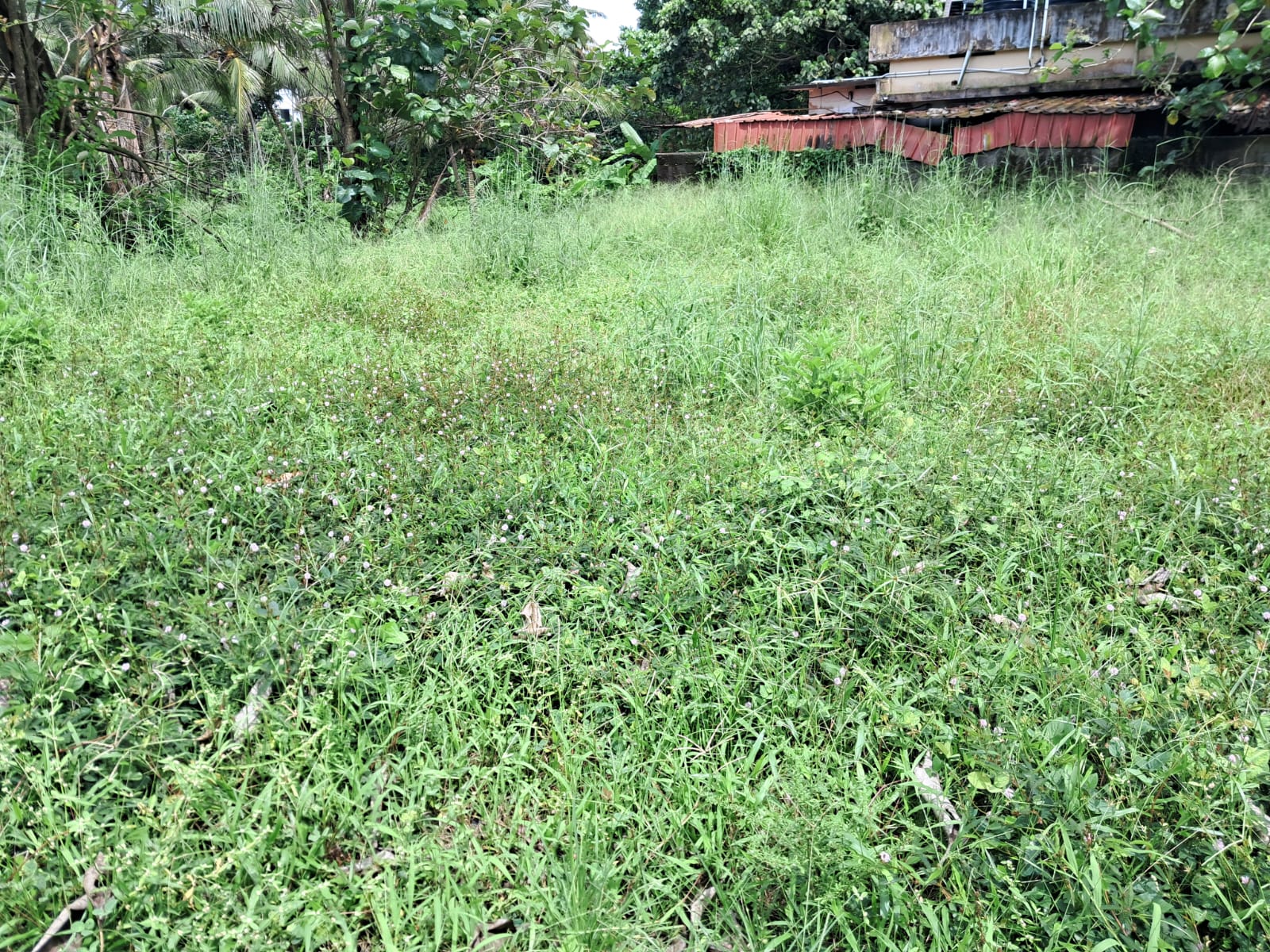 16.5 Cents of Land in Gated Villa