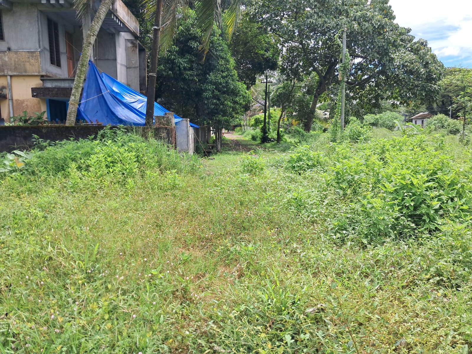 16.5 Cents of Land in Gated Villa