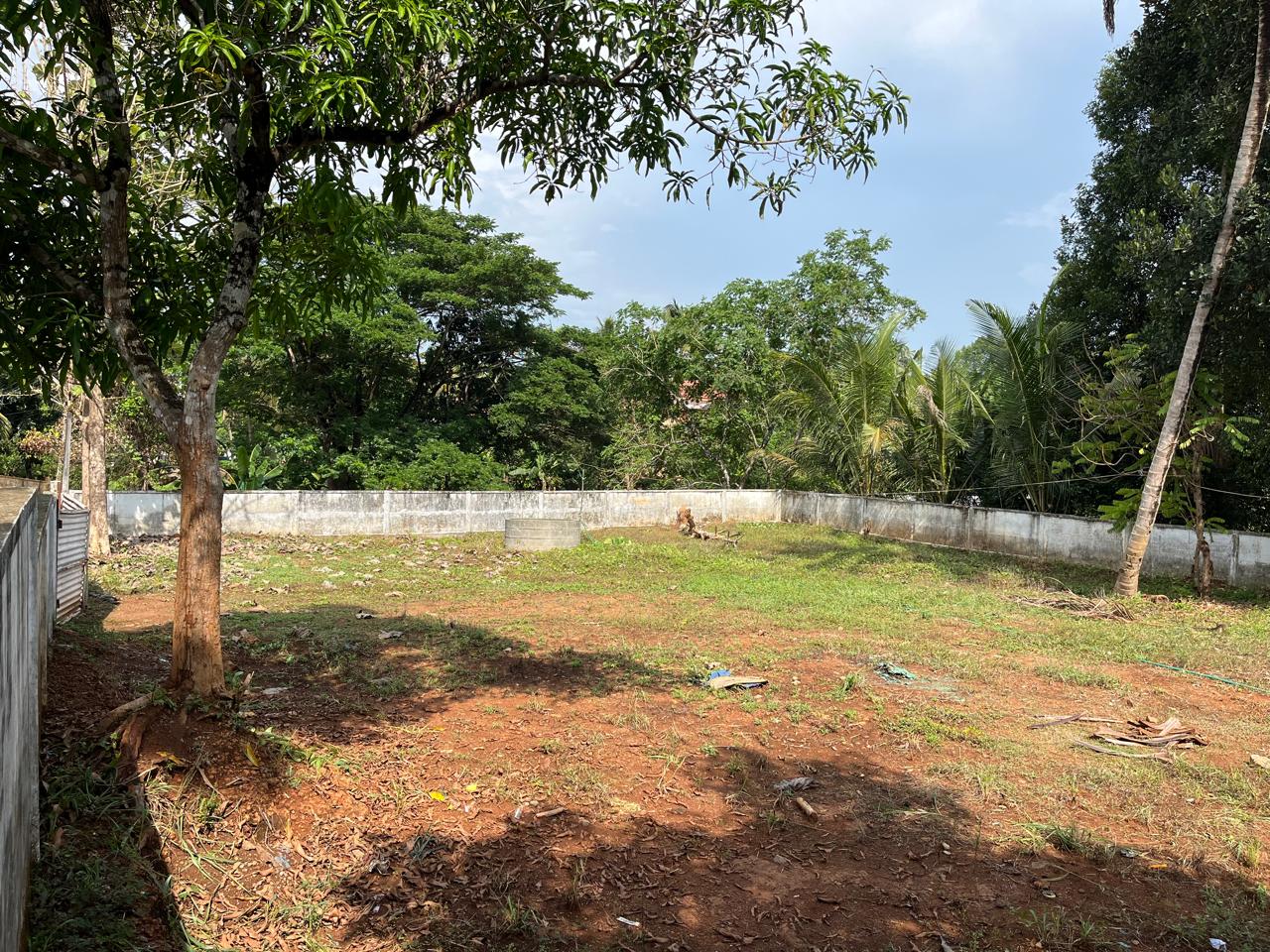 16 cent of Residential land