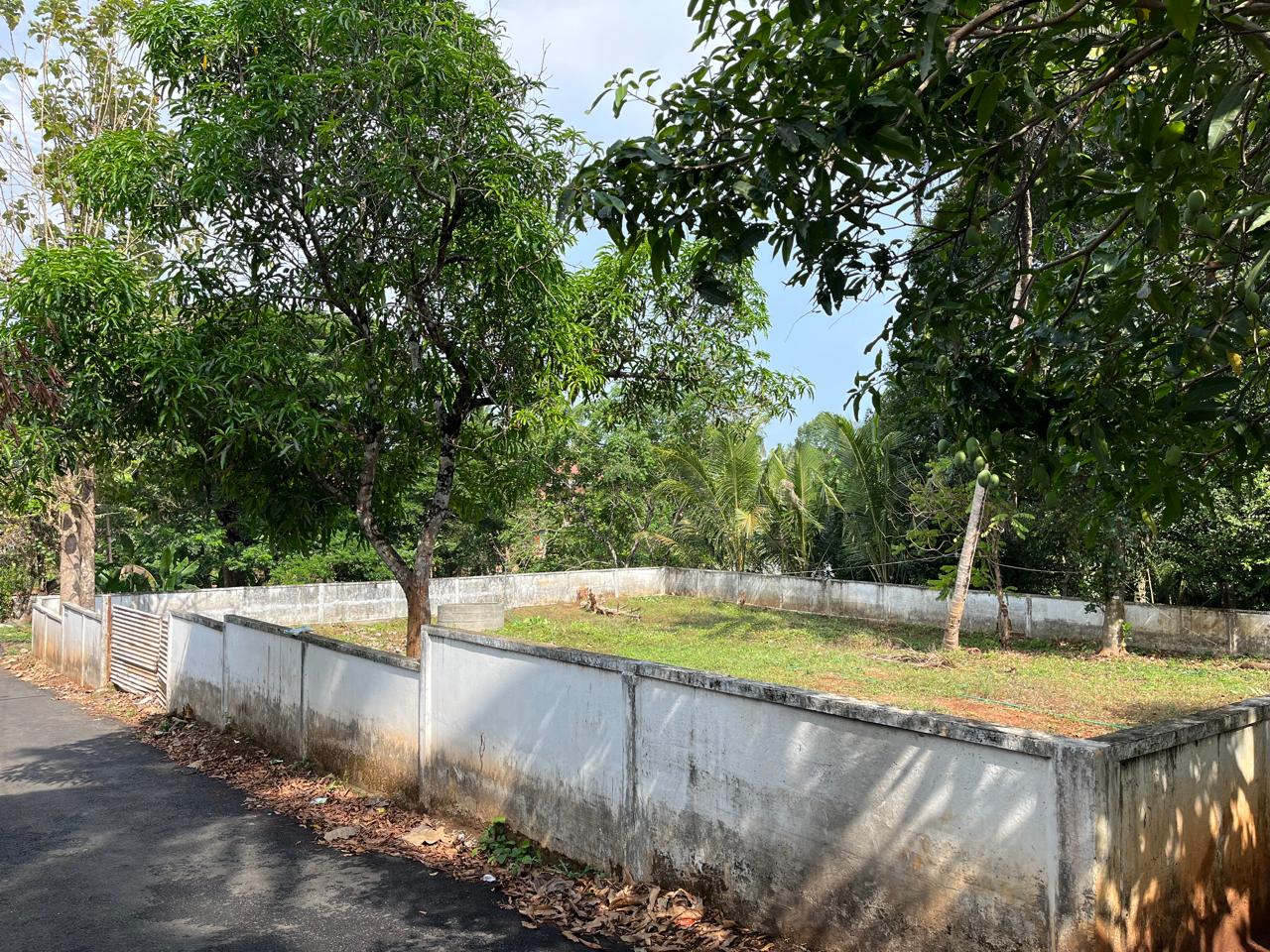 16 cent of Residential land