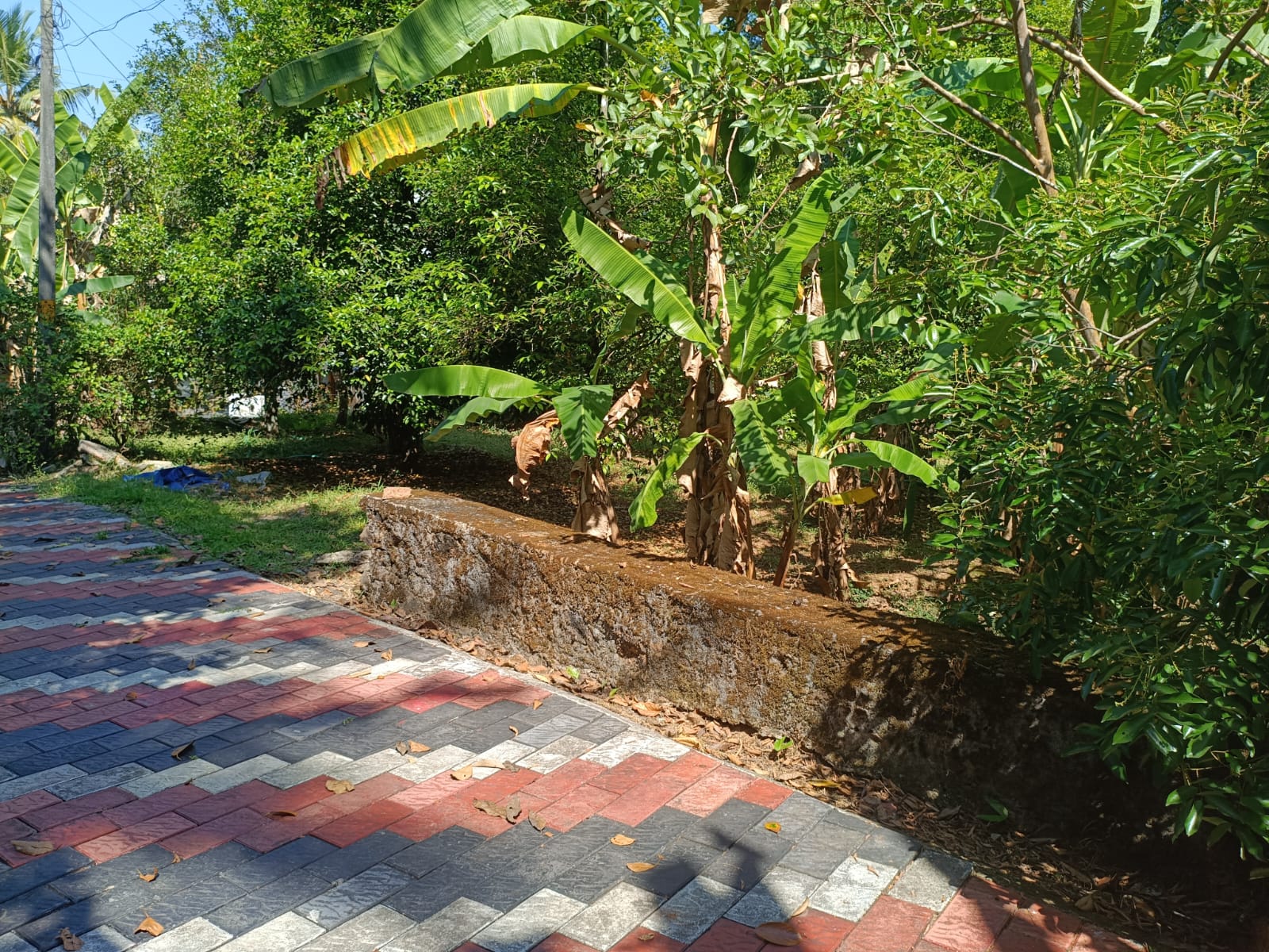 16 cents of Land - for sale in Pallikkara, Kochi ( Ernakulam ), Kerala