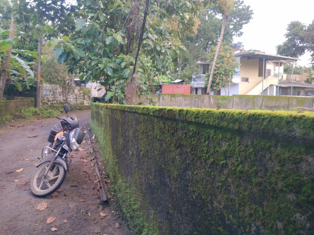16 cents of Residential land