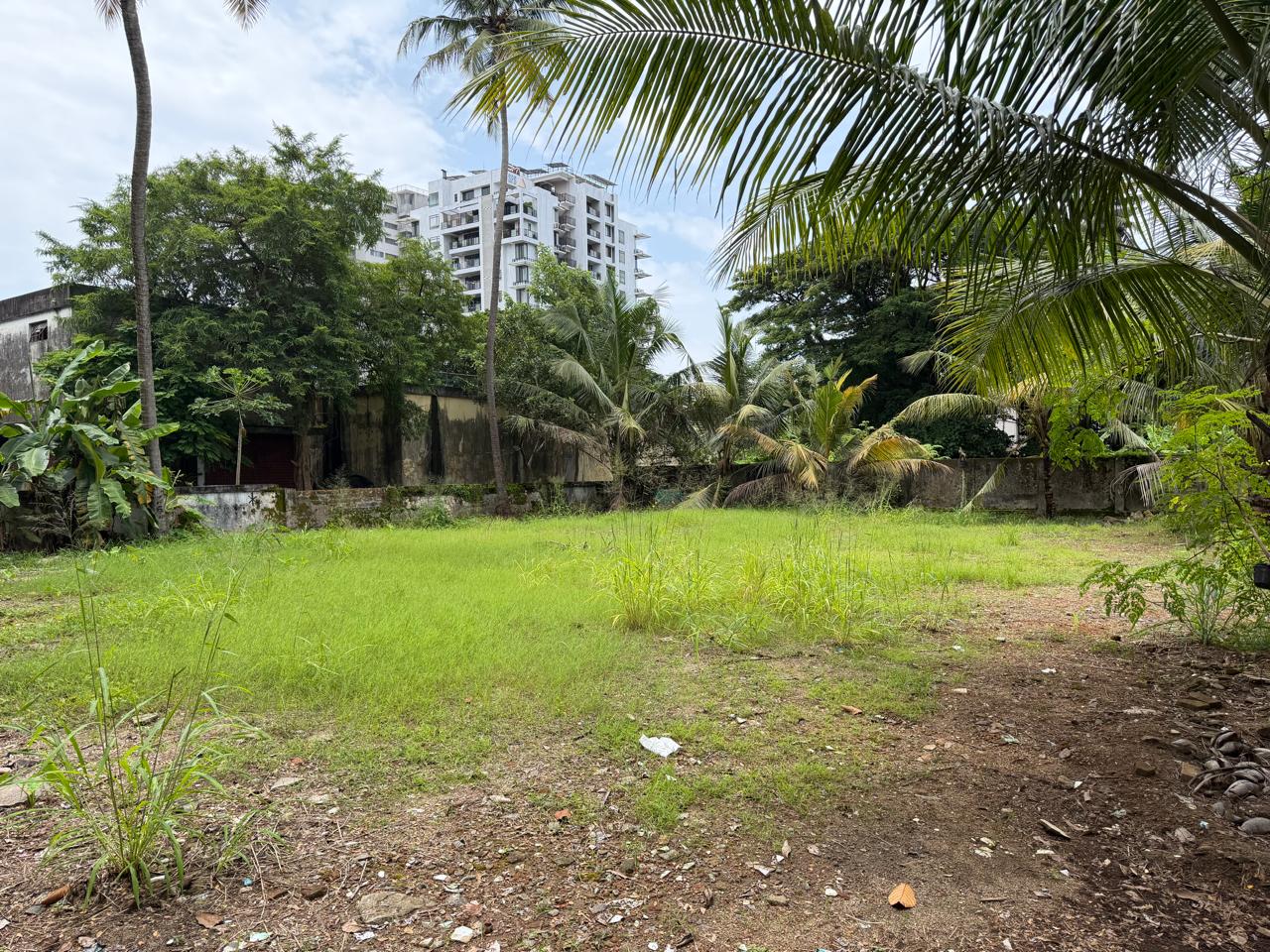 17 cents of Commercial Land