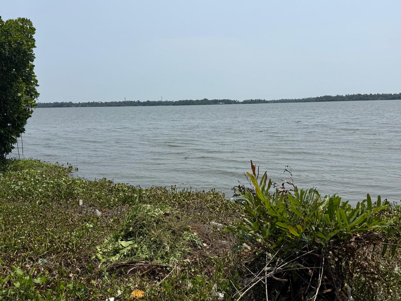 18 cents of Waterfront Land - for sale in Panangad, Kochi ( Ernakulam ), Kerala