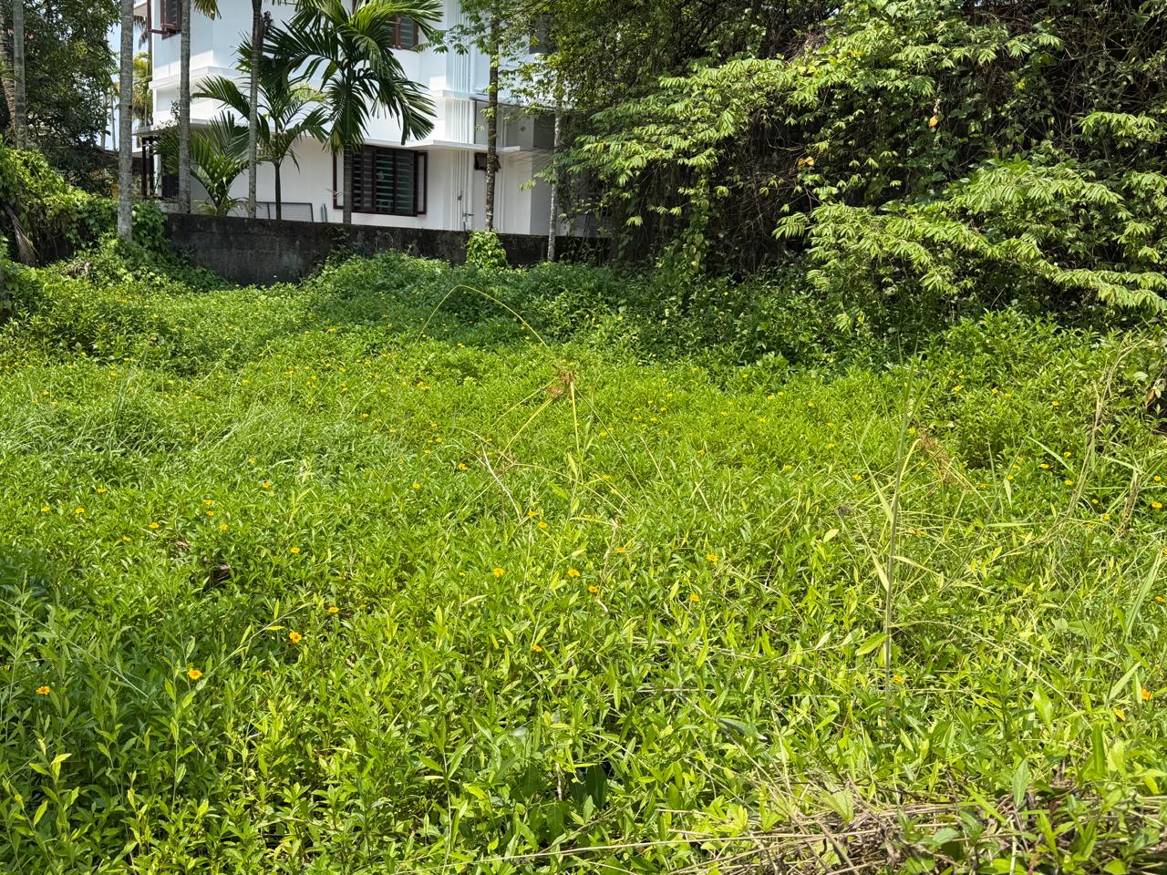 18 cents of Waterfront Land