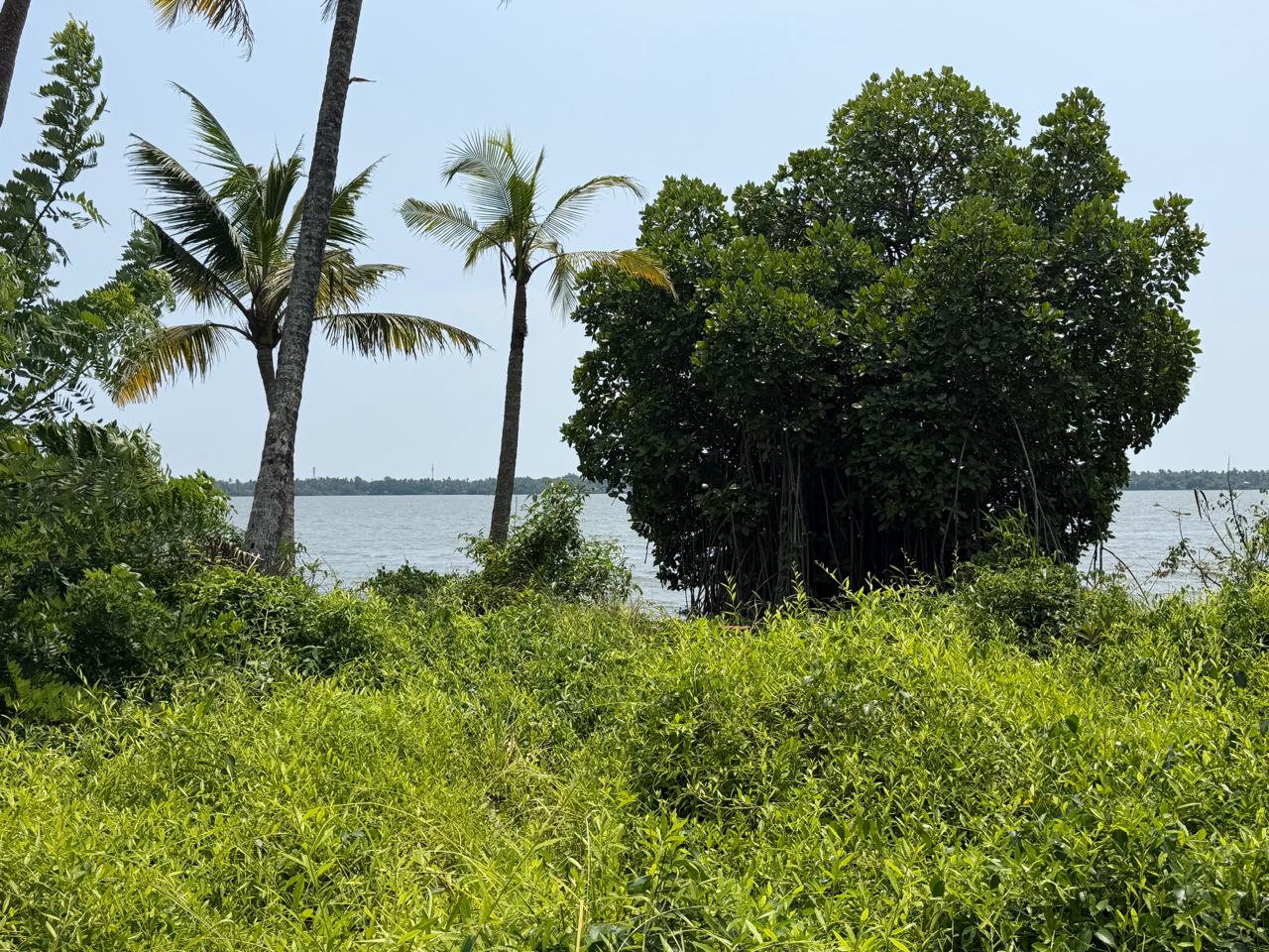 18 cents of Waterfront Land