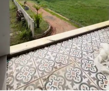 1800sqft 3BHK Semifurnished House