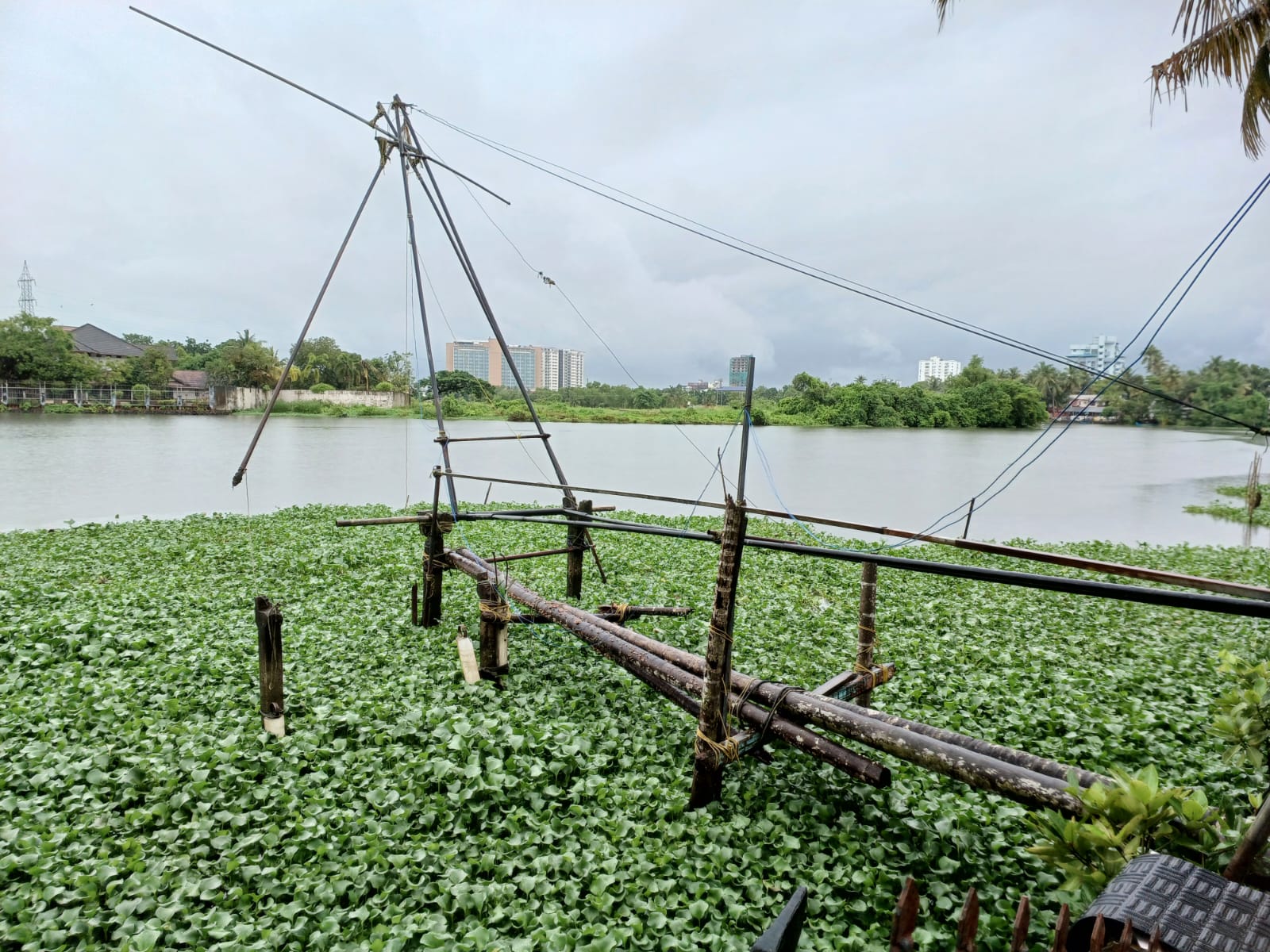 19cents of Residential Land in Maradu