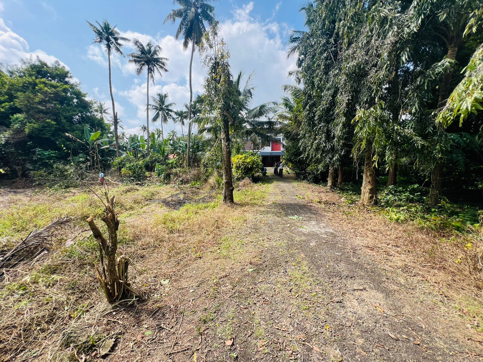 2.47 Acre Puriyadam - for sale in aluva, Kochi, Kerala