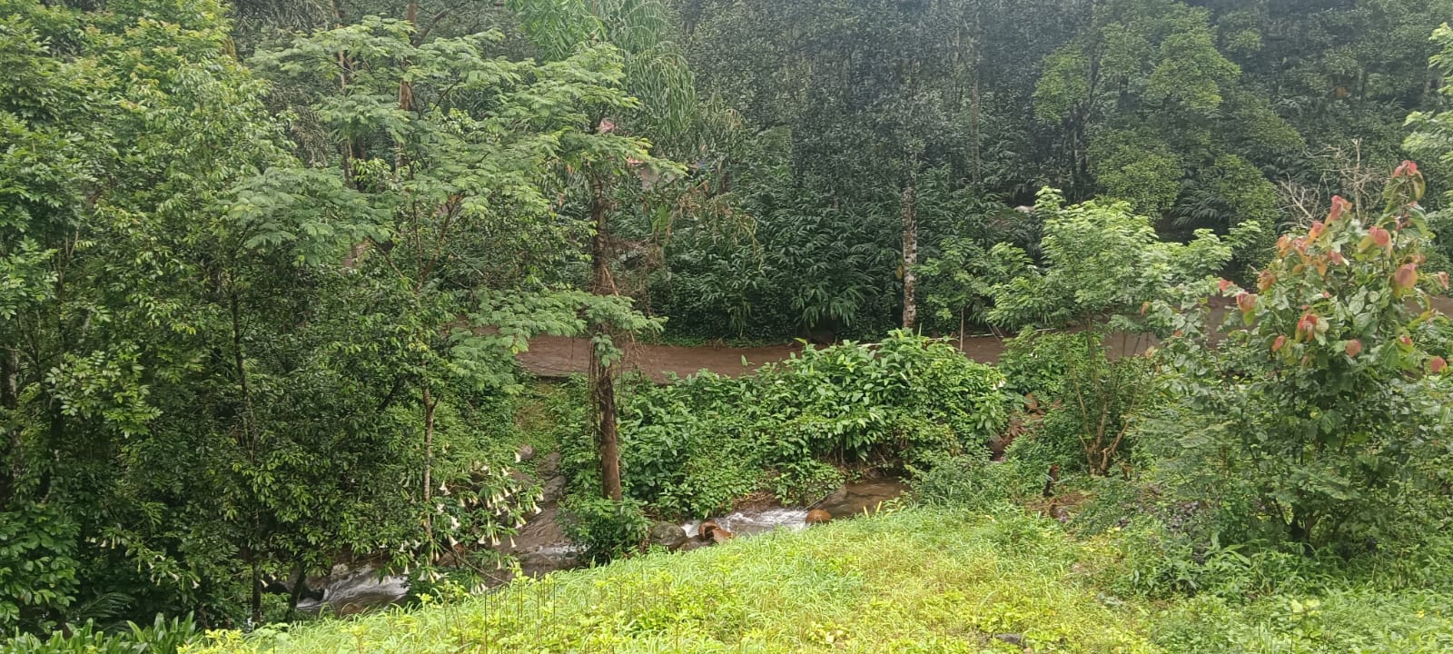 2.5Acres of Land with 1850sqft House
