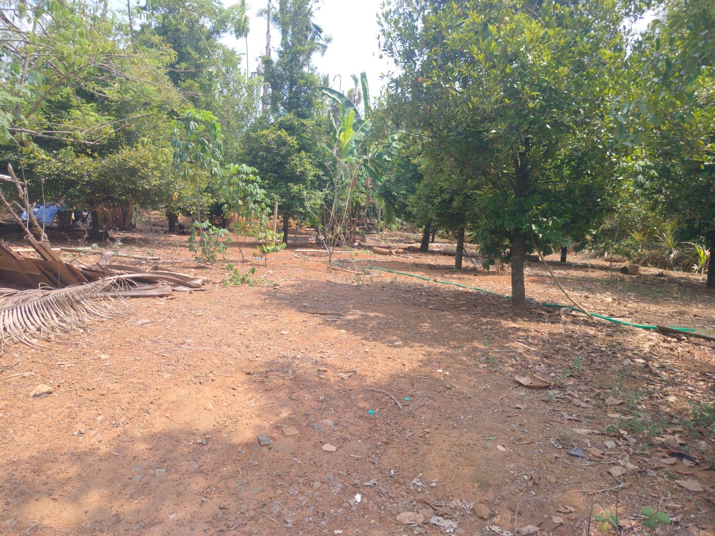 2.70 cents of Land - for sale in Angamally, Kochi ( Ernakulam ), Kerala