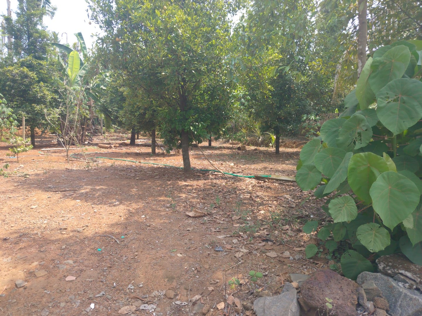 2.70 cents of Land