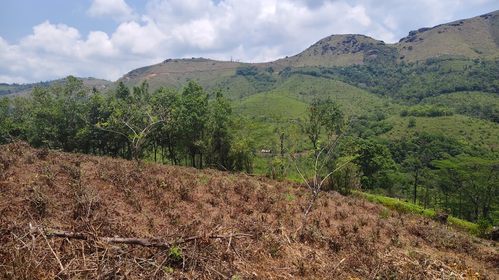 2 Acer of Land - for sale in Vagamon, Idukki, Kerala