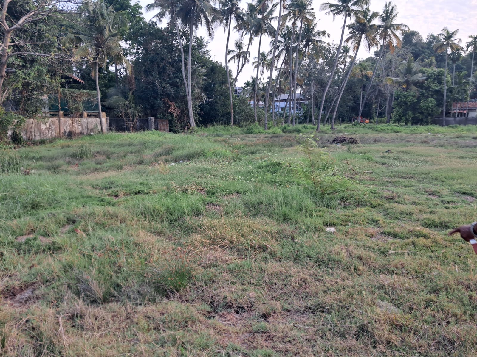 2 Acres of Prime Commercial Property/ Maradu