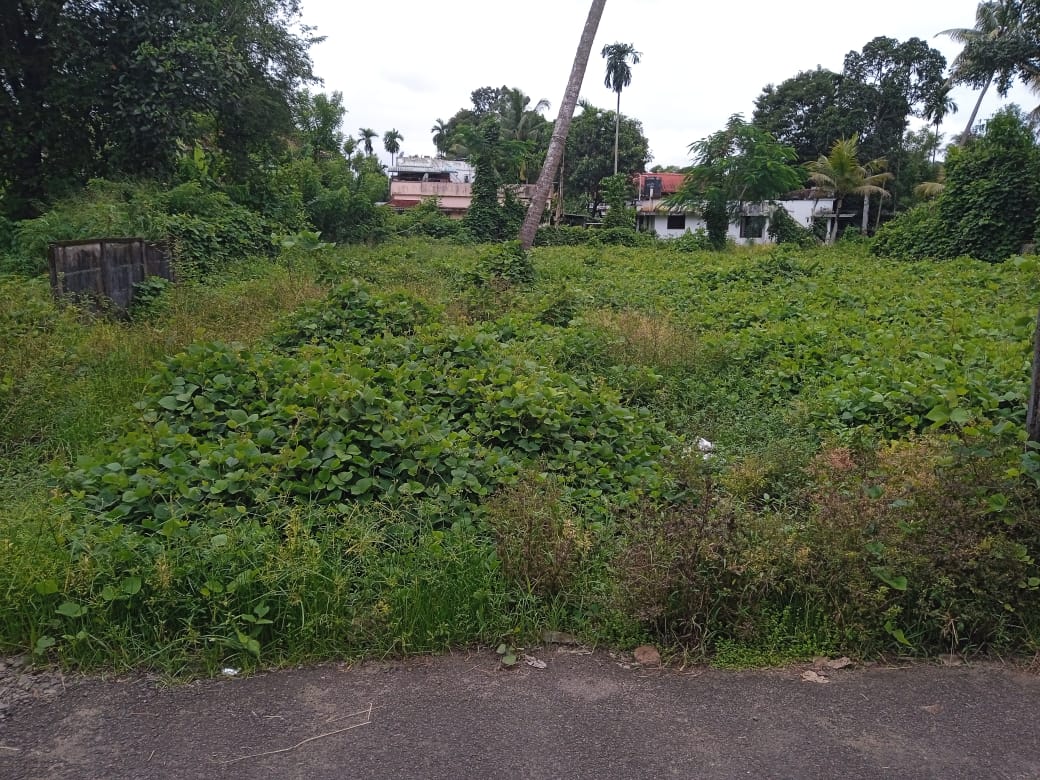 20 Cents of Land - for sale in varapuzha, Kochi, Kerala