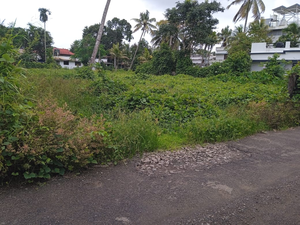 20 Cents of Land