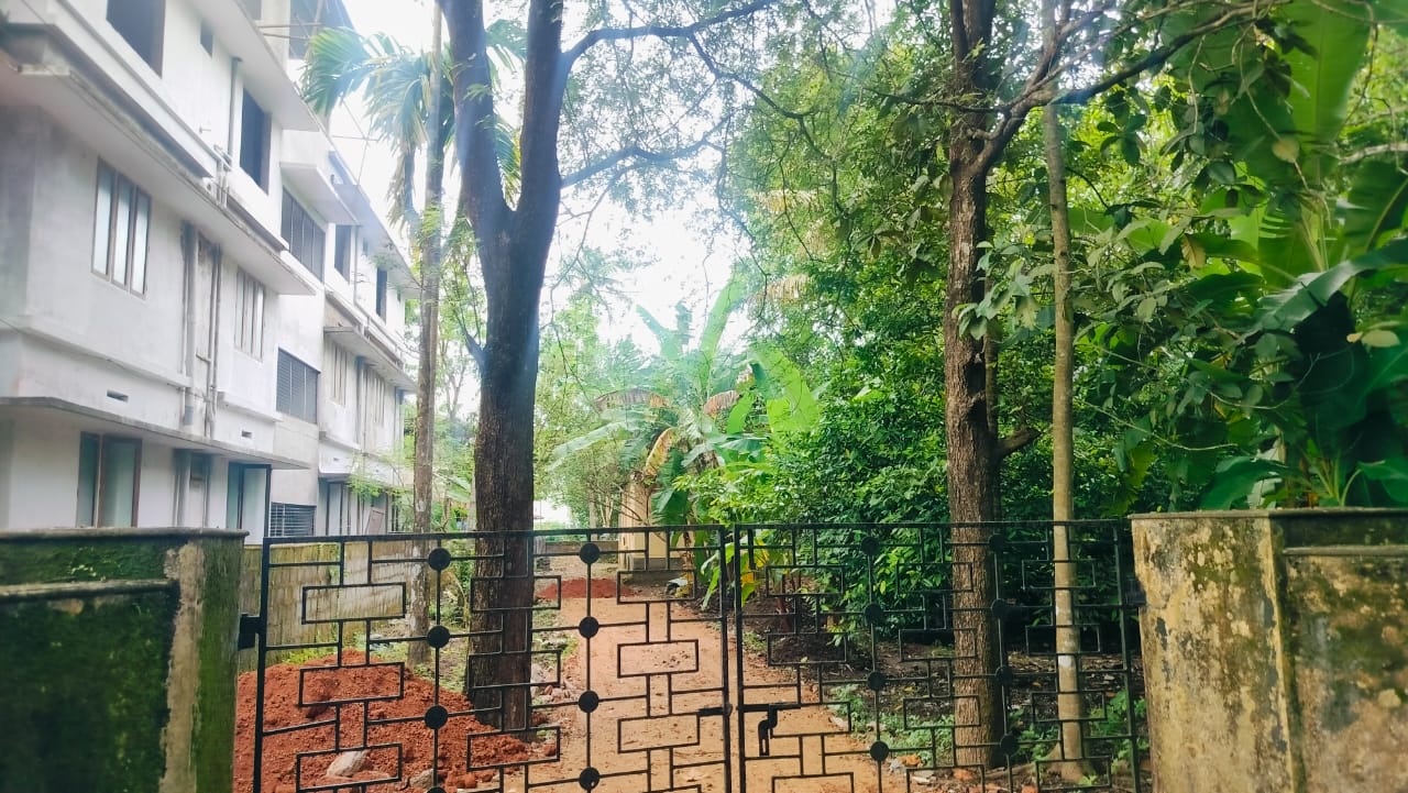 20 Cents of Land