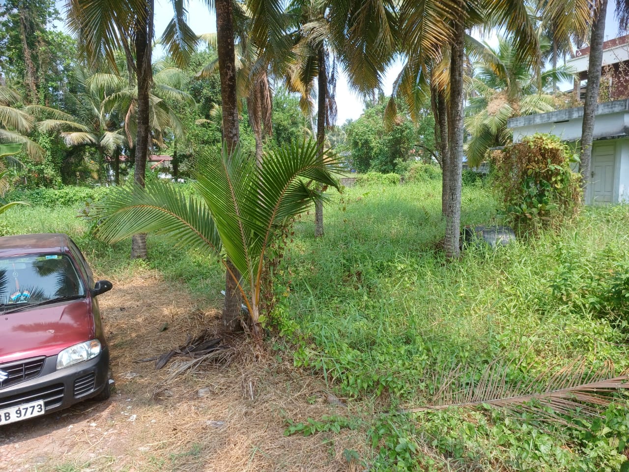 20 cents of Land - for sale in Maradu, Kochi ( Ernakulam ), Kerala