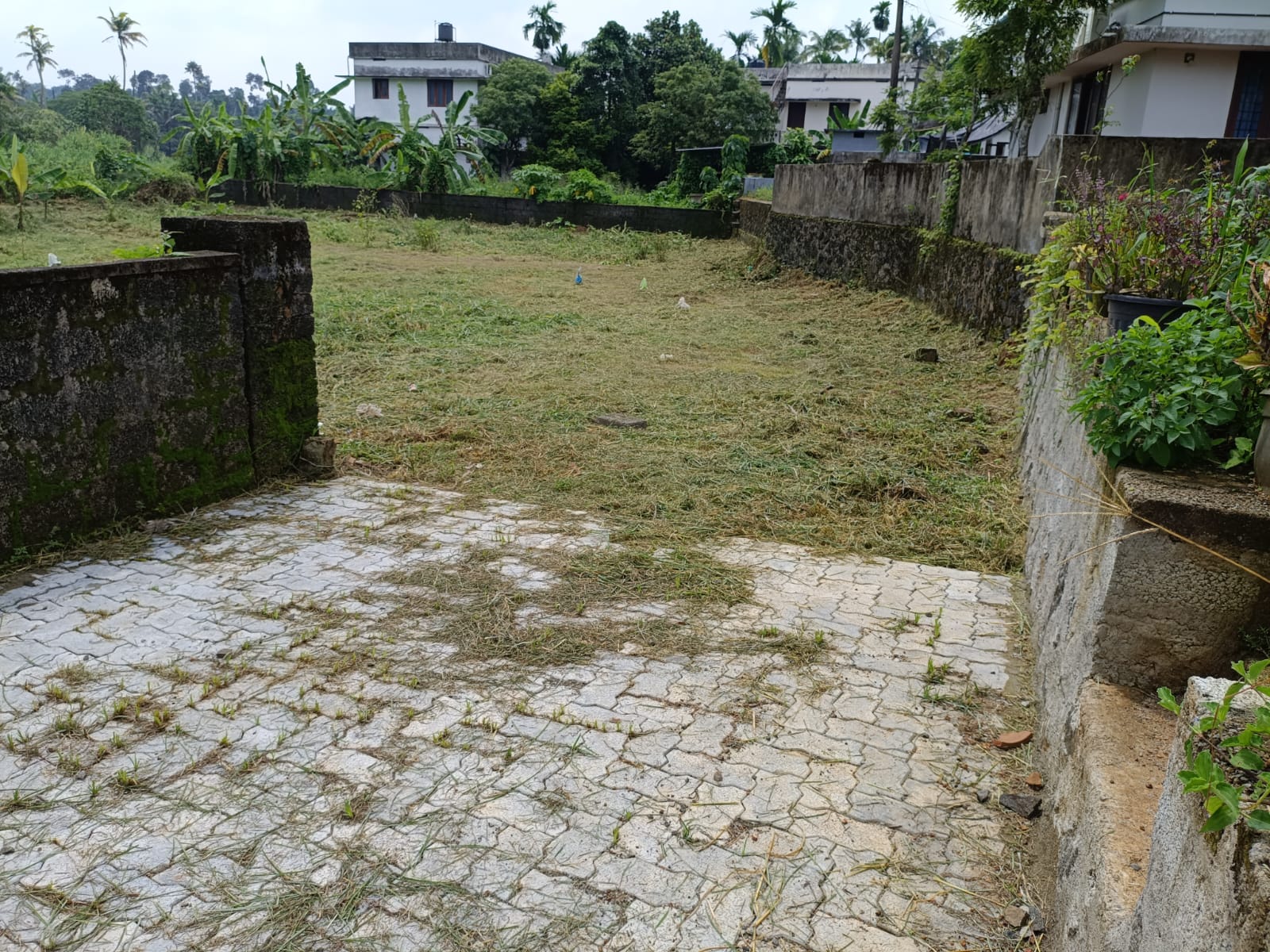 20 Cents of land - for sale in Pallikkara, Kochi ( Ernakulam ), Kerala