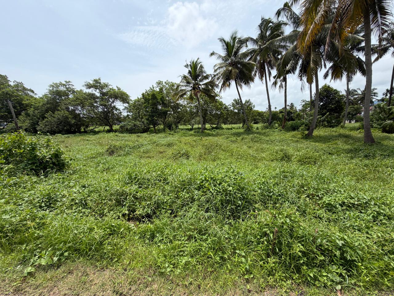 20 cents of Land - for sale in Varapuzha, Kochi ( Ernakulam ), Kerala