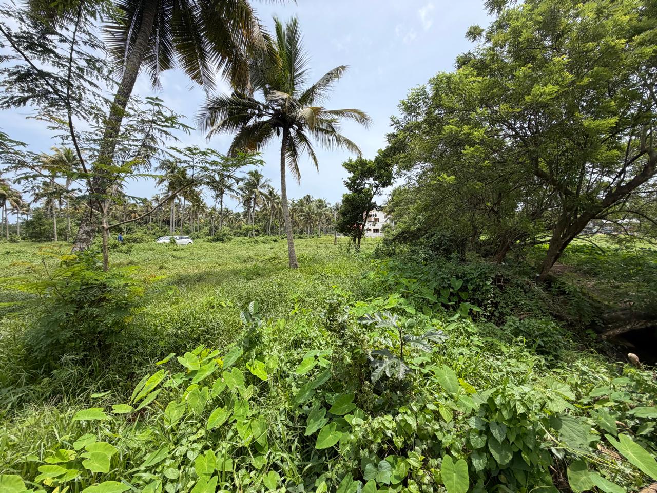 20 cents of Land