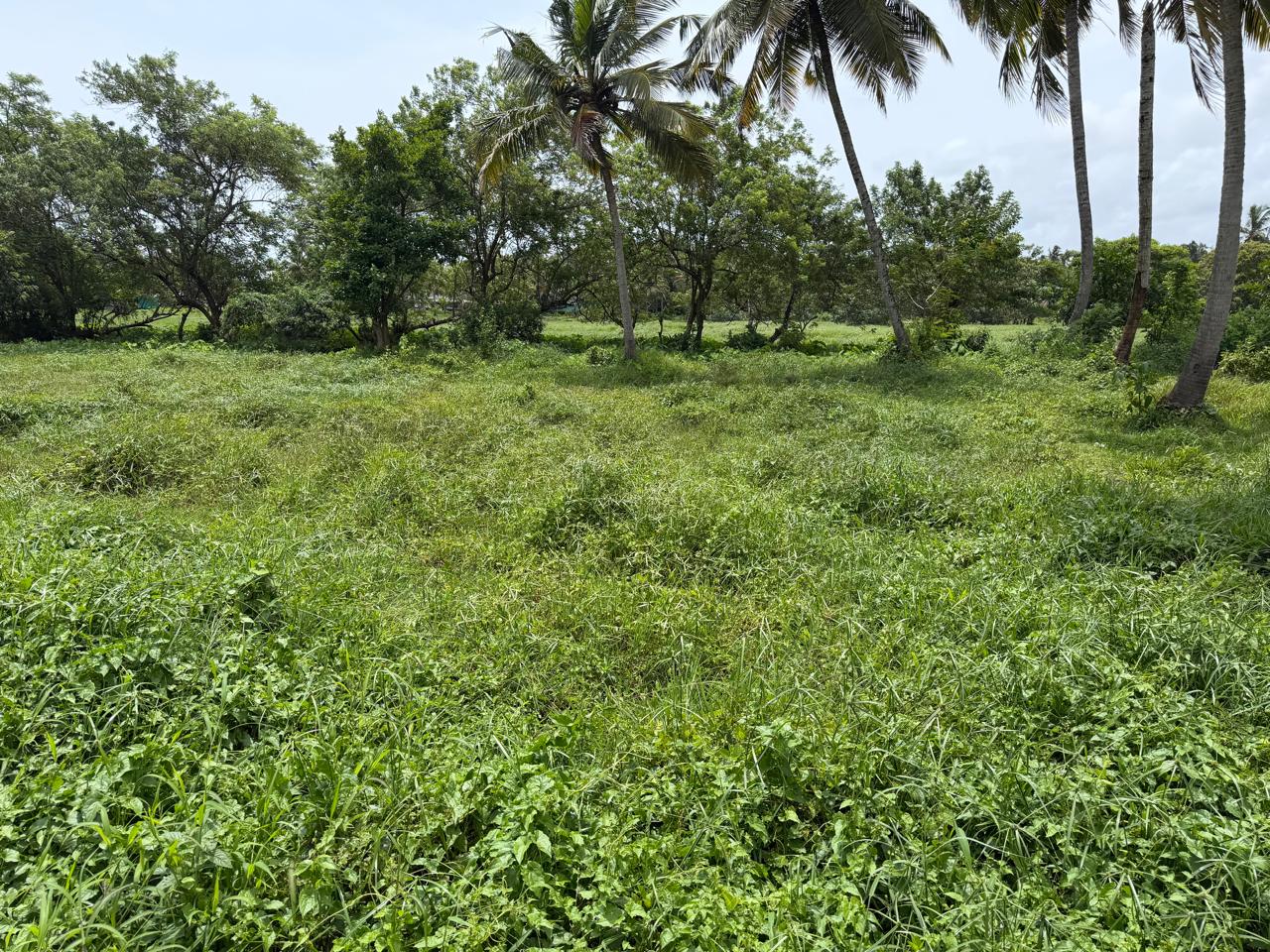 20 cents of Land