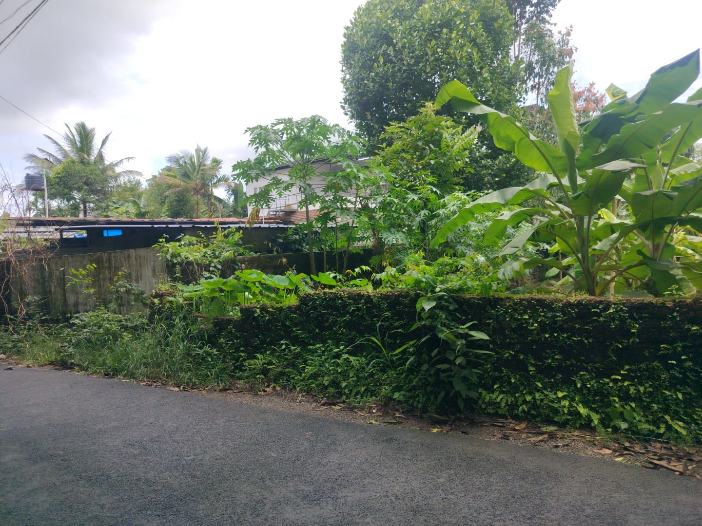 20 cents of  land - for sale in Nedumbassery, Kochi ( Ernakulam ), Kerala