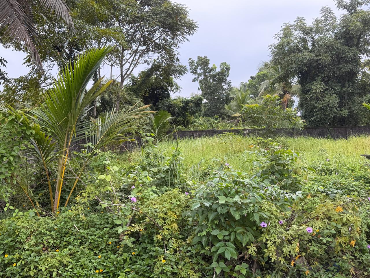 20 cents of Land - for sale in Maradu, Kochi ( Ernakulam ), Kerala